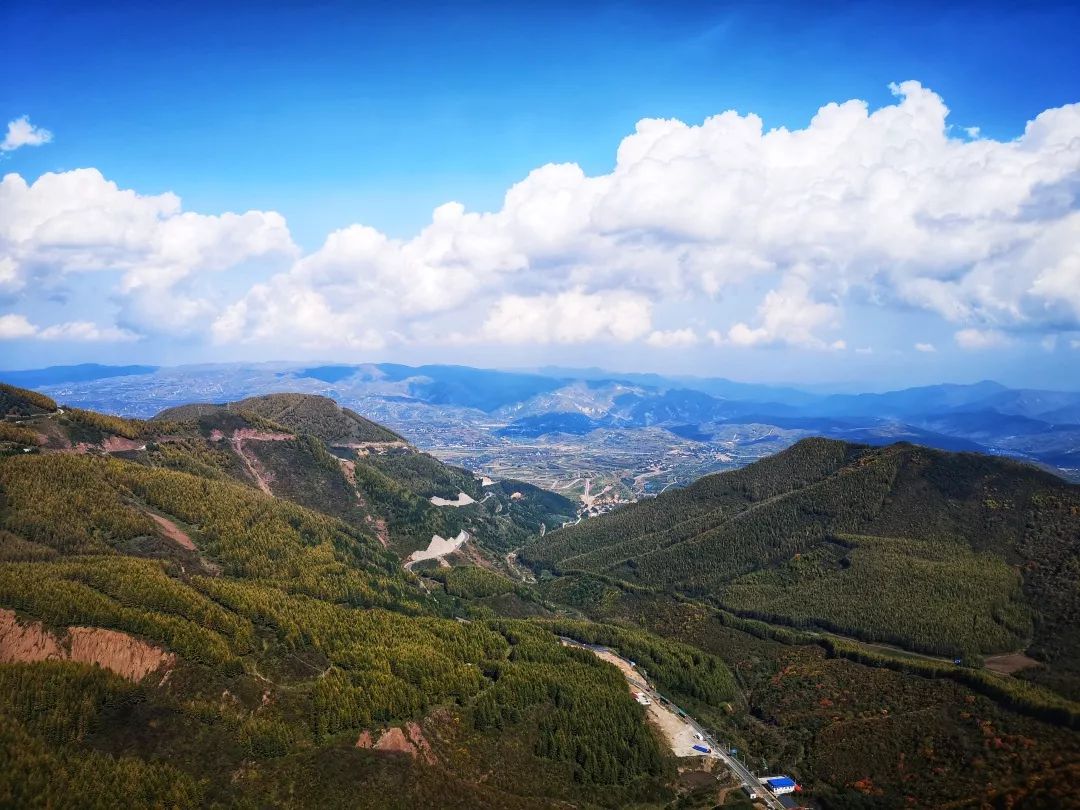 十一必游额济纳胡杨林,十一离宁夏近有草原的旅游推荐