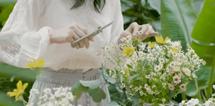 经典小甘菊护手霜75ml,德国小甘菊护手霜120多年老品牌