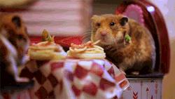 处cp真的会有感情吗,处cp之后为什么会变菜