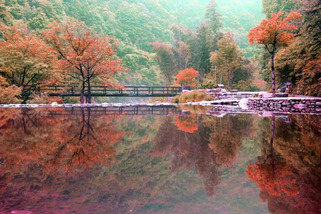 盛世如愿缅怀先烈|来浙里办文旅专区寻一条红色旅游线路，出发！