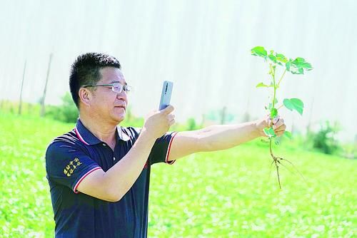 北京澳佳腐植酸水溶肥,北京澳佳生态有限公司