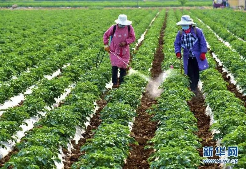 超详细肥料、农药、调节剂混配知识，快收藏