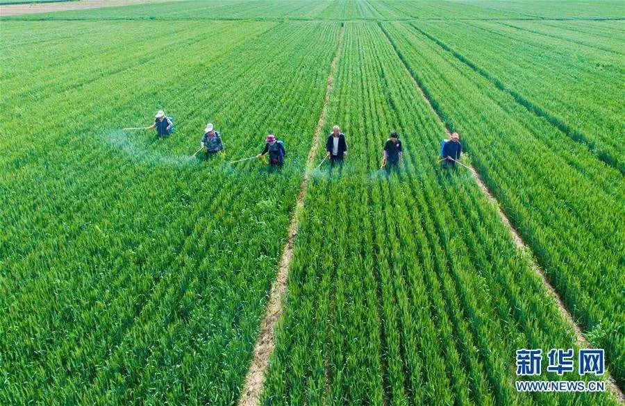 超详细肥料、农药、调节剂混配知识，快收藏