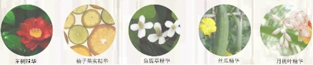 去黑头角质平价水乳,去黑头日本洗面奶