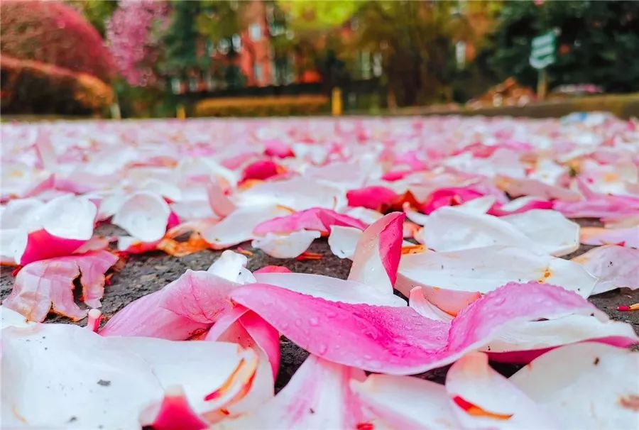 黄璞琳有关商标法的文章与资料（四）