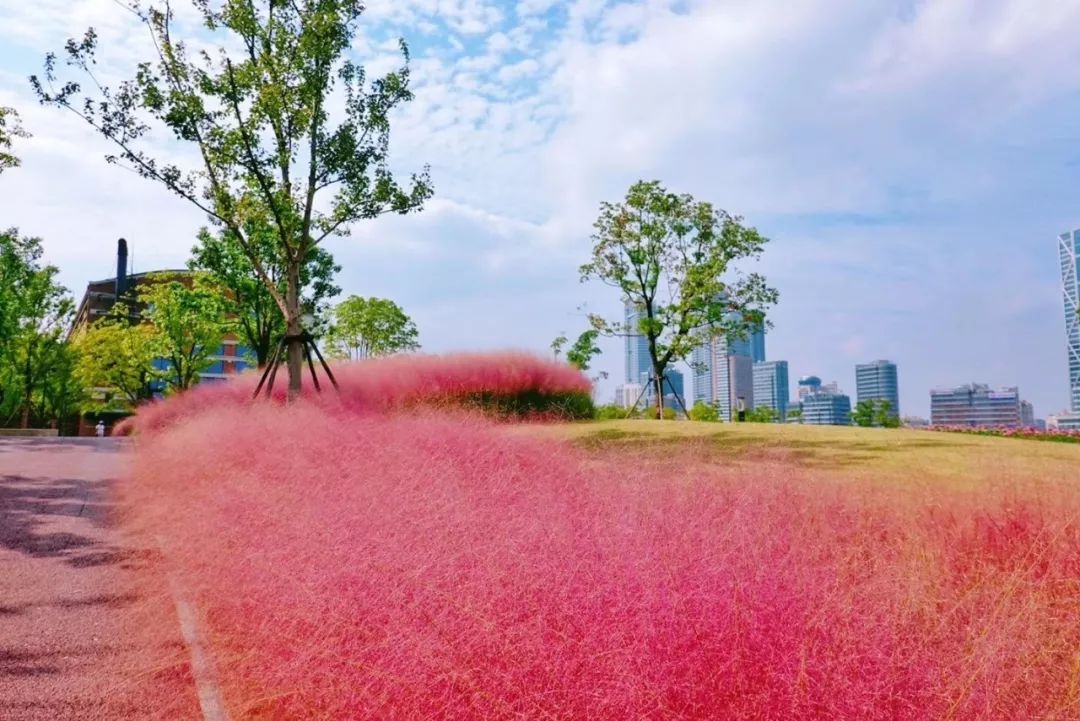 滨江岸线最好玩的地方,滨江值得玩的地方