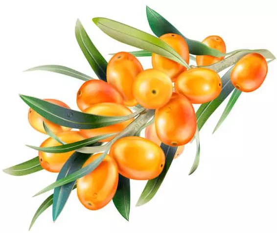 omg旅行,omg出门游玩