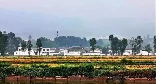 凉山的特色美食,凉山必吃美食