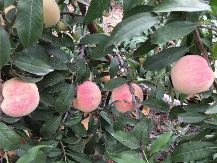 北仑小港有什么好玩的地方,北仑小港去哪玩