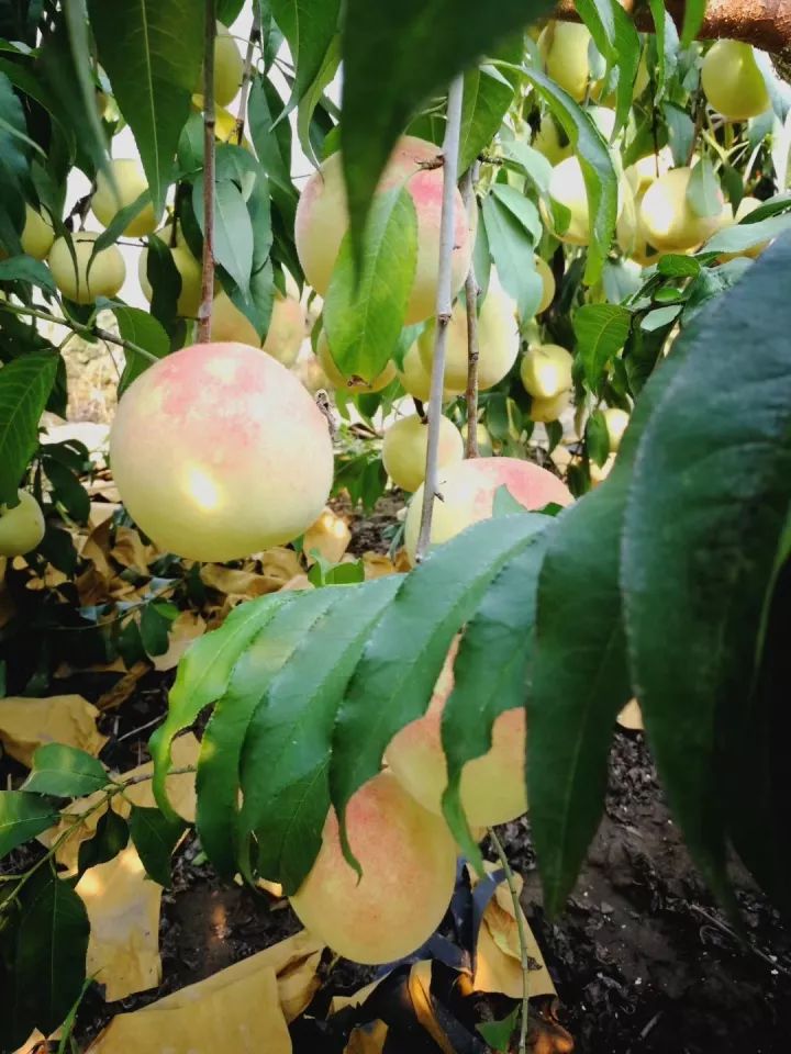 北仑小港有什么好玩的地方,北仑小港去哪玩