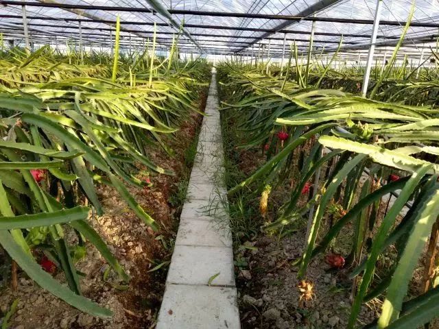 北仑小港有什么好玩的地方,北仑小港去哪玩