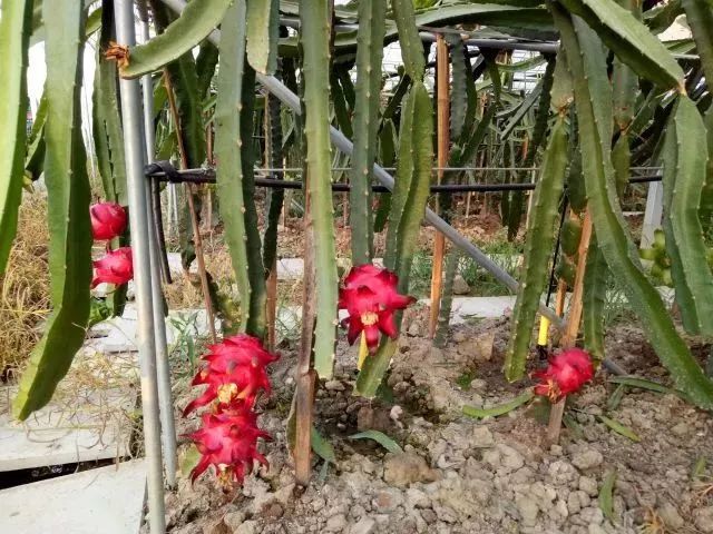 北仑小港有什么好玩的地方,北仑小港去哪玩