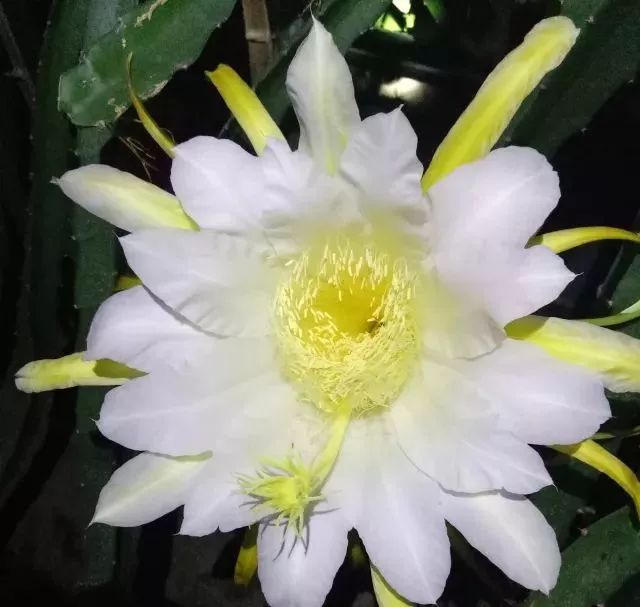 北仑小港有什么好玩的地方,北仑小港去哪玩