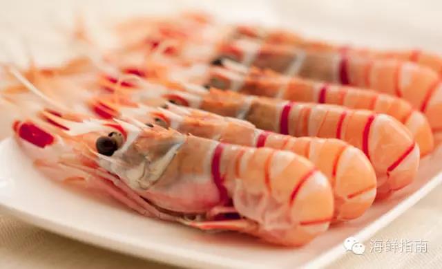 东海海鳌虾与新西兰鳌虾口感区别,莫桑比克鳌虾和挪威鳌虾