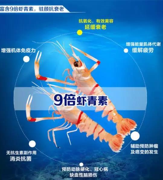 东海海鳌虾与新西兰鳌虾口感区别,莫桑比克鳌虾和挪威鳌虾