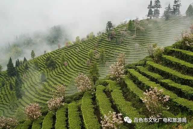 百色小众秘境景点,百色美景人间仙境