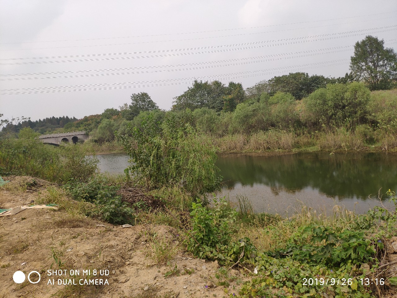 提高路亚中鱼率,打黑用什么假饵中鱼率高