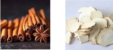 流量小花和实力小花演技,演技炸裂的流量小花