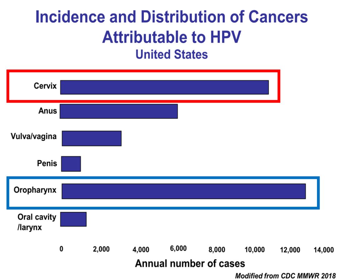 hpv疫苗保护效力解读,hpv疫苗适宜年龄