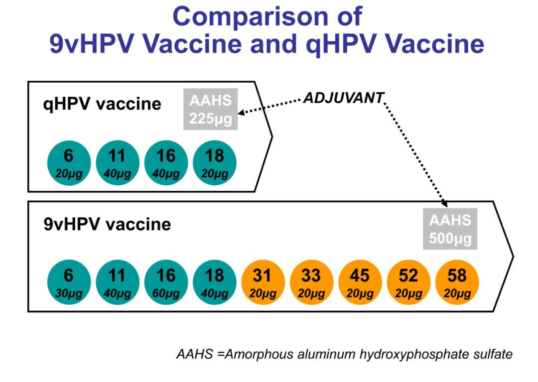 hpv疫苗保护效力解读,hpv疫苗适宜年龄