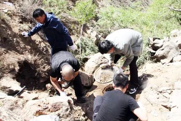 时光穿越动画片,东胜警察故事