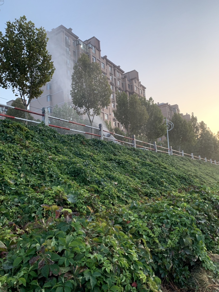 新竿开光有什么讲究,新竿开光爆护