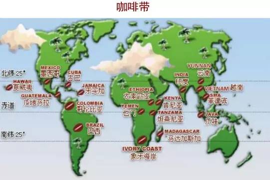 万字雄文说透咖啡：虽然经常捧着它，但你真的了解多少呢？