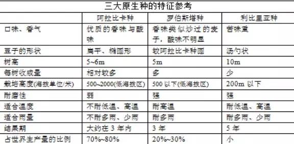 万字雄文说透咖啡：虽然经常捧着它，但你真的了解多少呢？