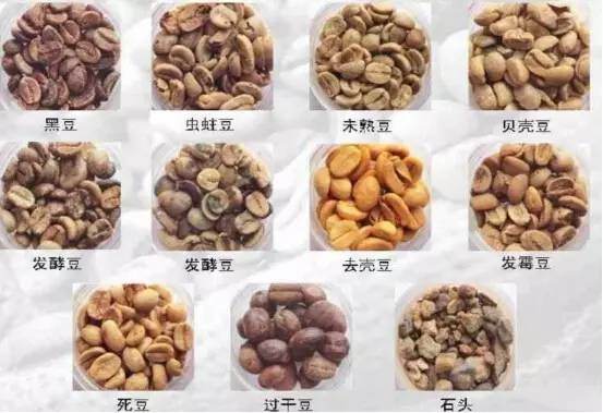 万字雄文说透咖啡：虽然经常捧着它，但你真的了解多少呢？