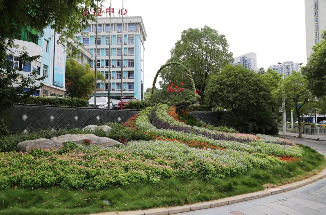 花漾宜昌如此美丽!44万盆鲜花全城绽放