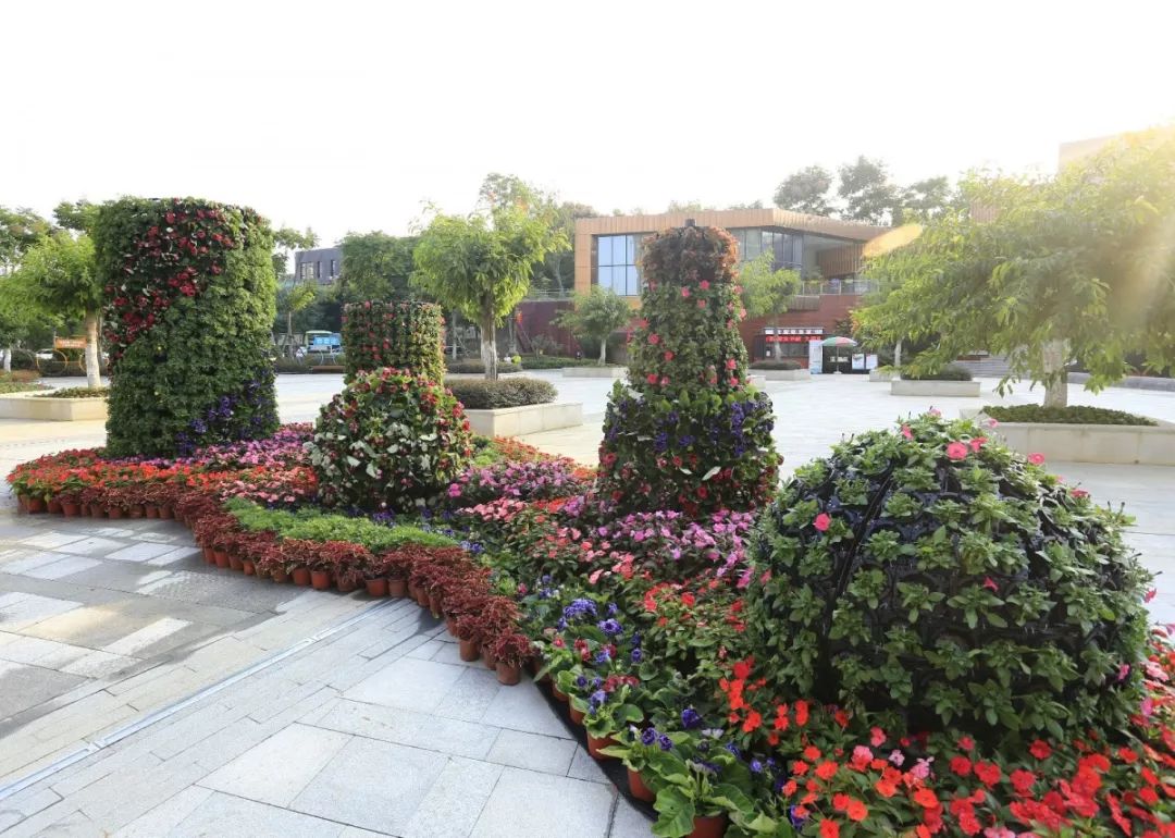 花漾宜昌如此美丽!44万盆鲜花全城绽放