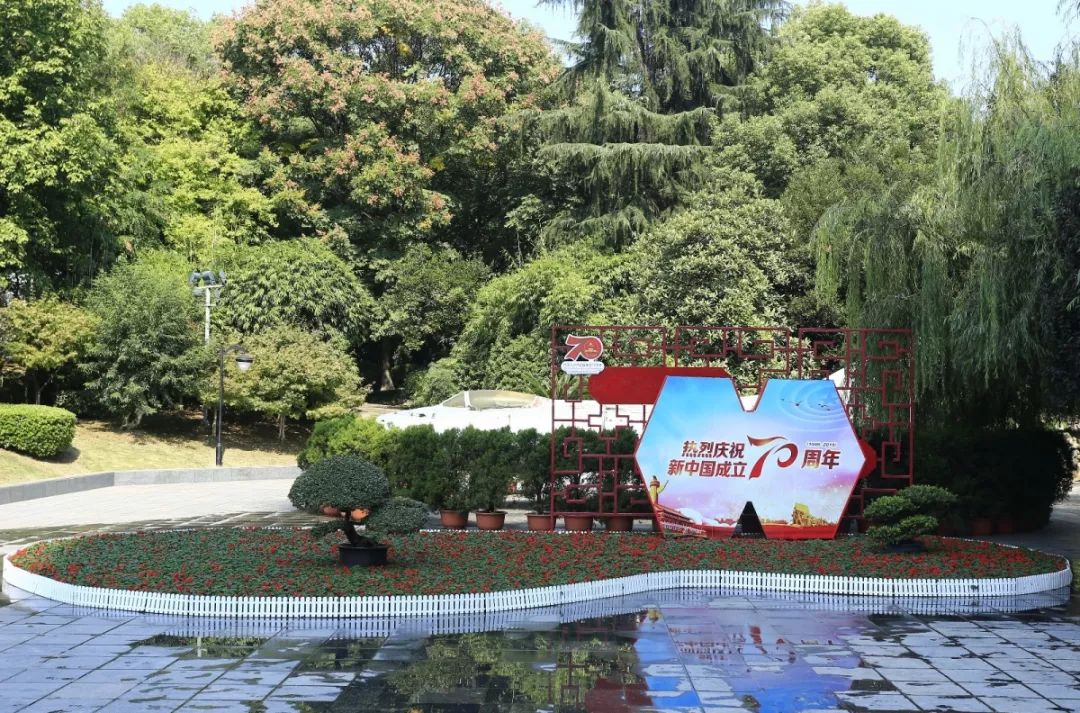 花漾宜昌如此美丽!44万盆鲜花全城绽放