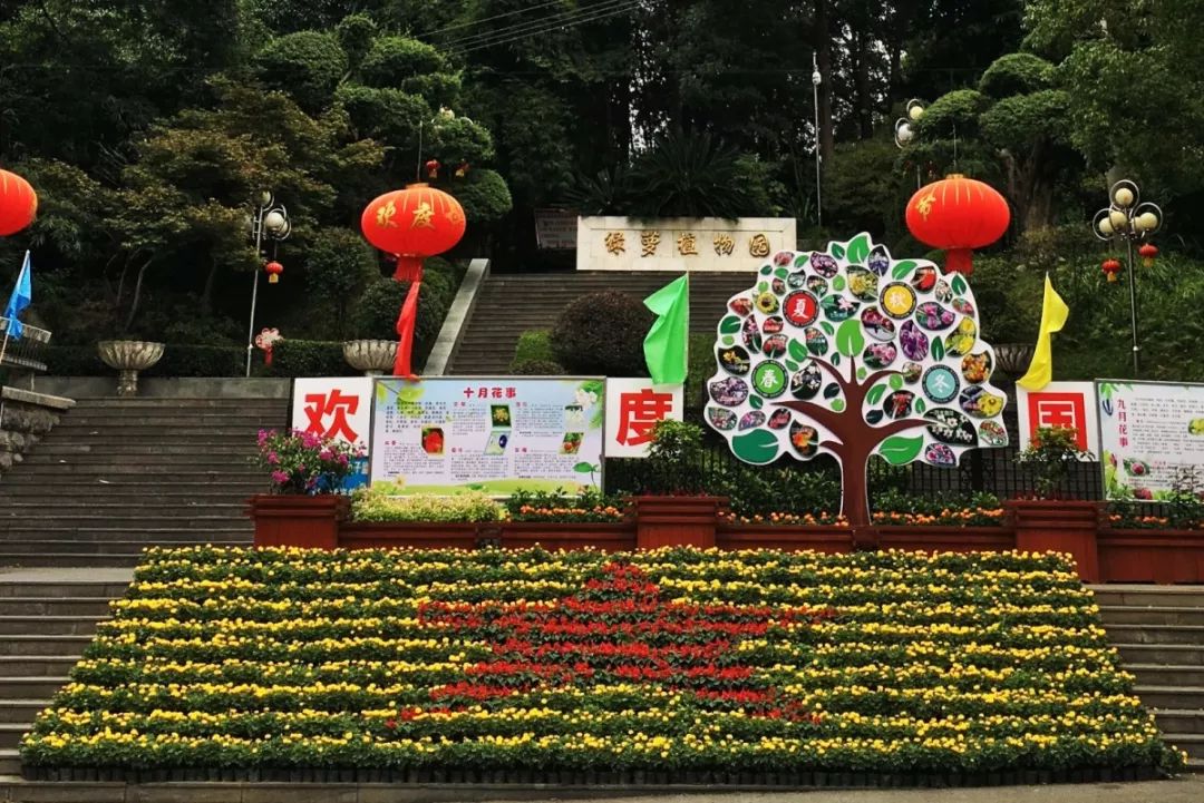 花漾宜昌如此美丽!44万盆鲜花全城绽放
