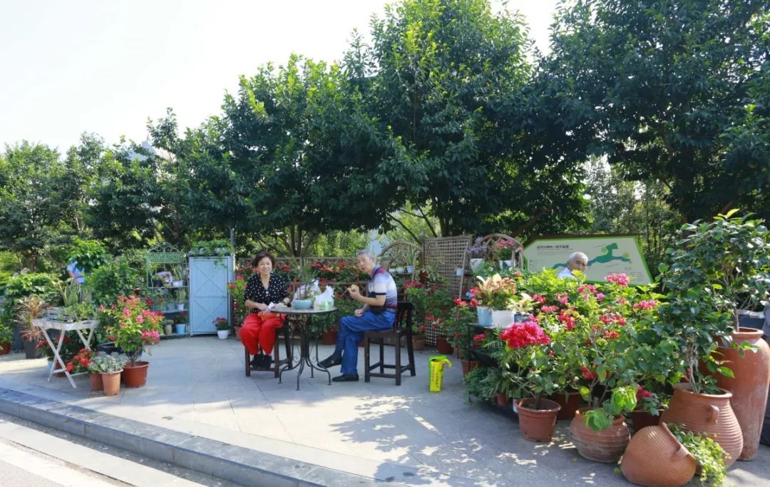 花漾宜昌如此美丽!44万盆鲜花全城绽放