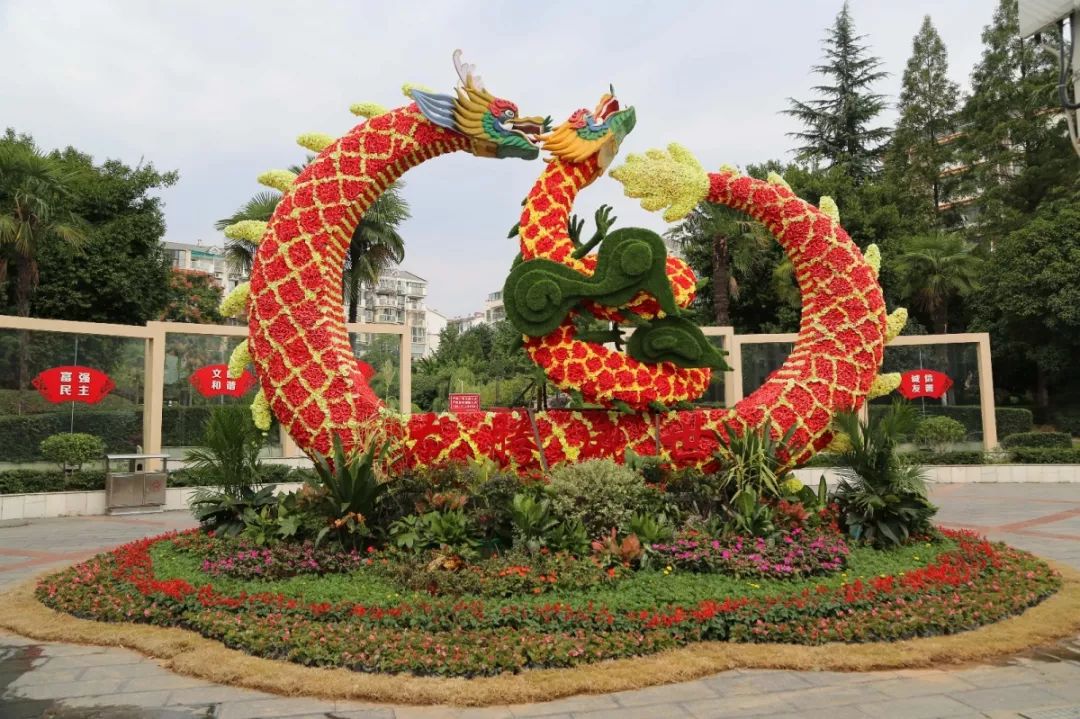 花漾宜昌如此美丽!44万盆鲜花全城绽放