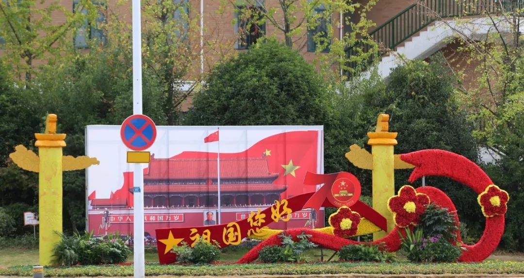 花漾宜昌如此美丽!44万盆鲜花全城绽放