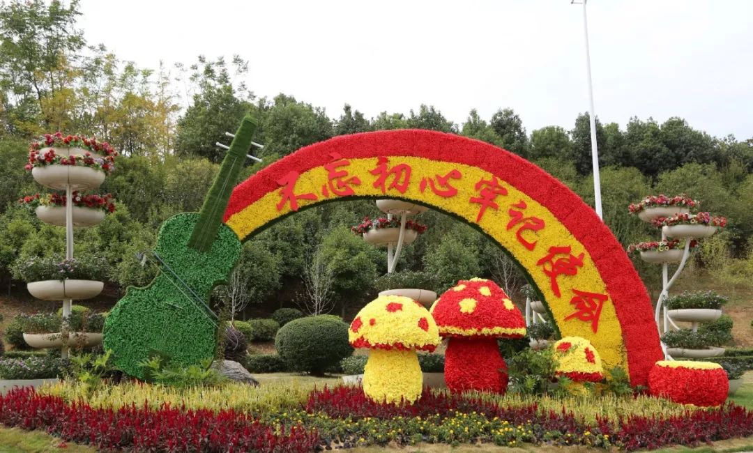 花漾宜昌如此美丽!44万盆鲜花全城绽放