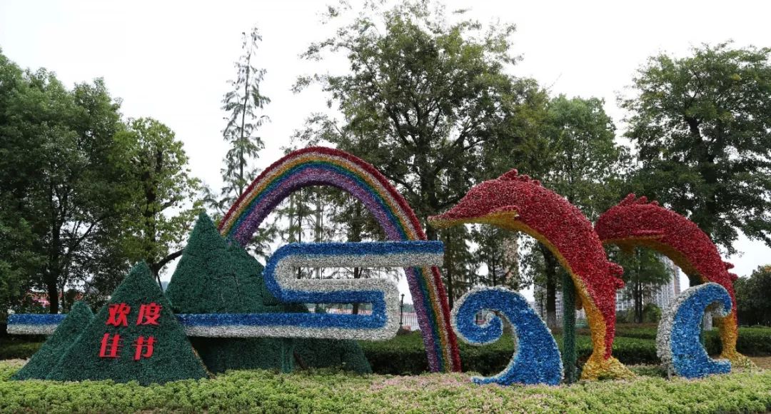 花漾宜昌如此美丽!44万盆鲜花全城绽放