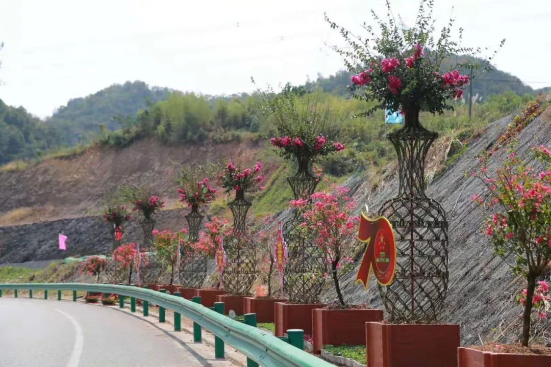 花漾宜昌如此美丽!44万盆鲜花全城绽放