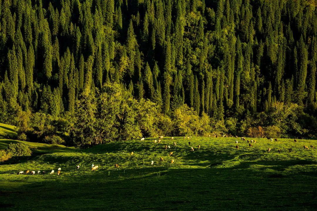 中国西北旅游景色,西北雄浑江南婉约