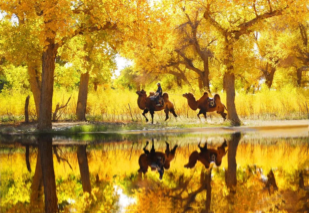 中国西北旅游景色,西北雄浑江南婉约