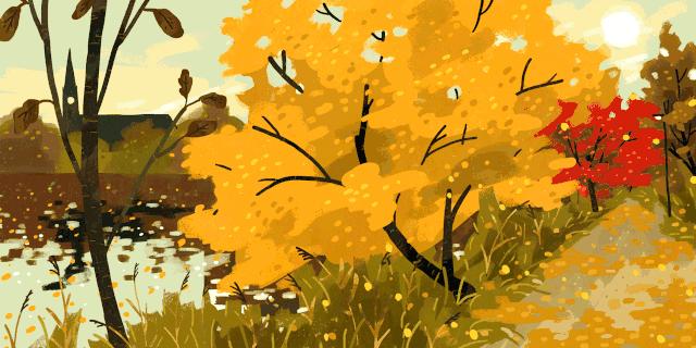 泡汤温泉广东,日本泡汤温泉