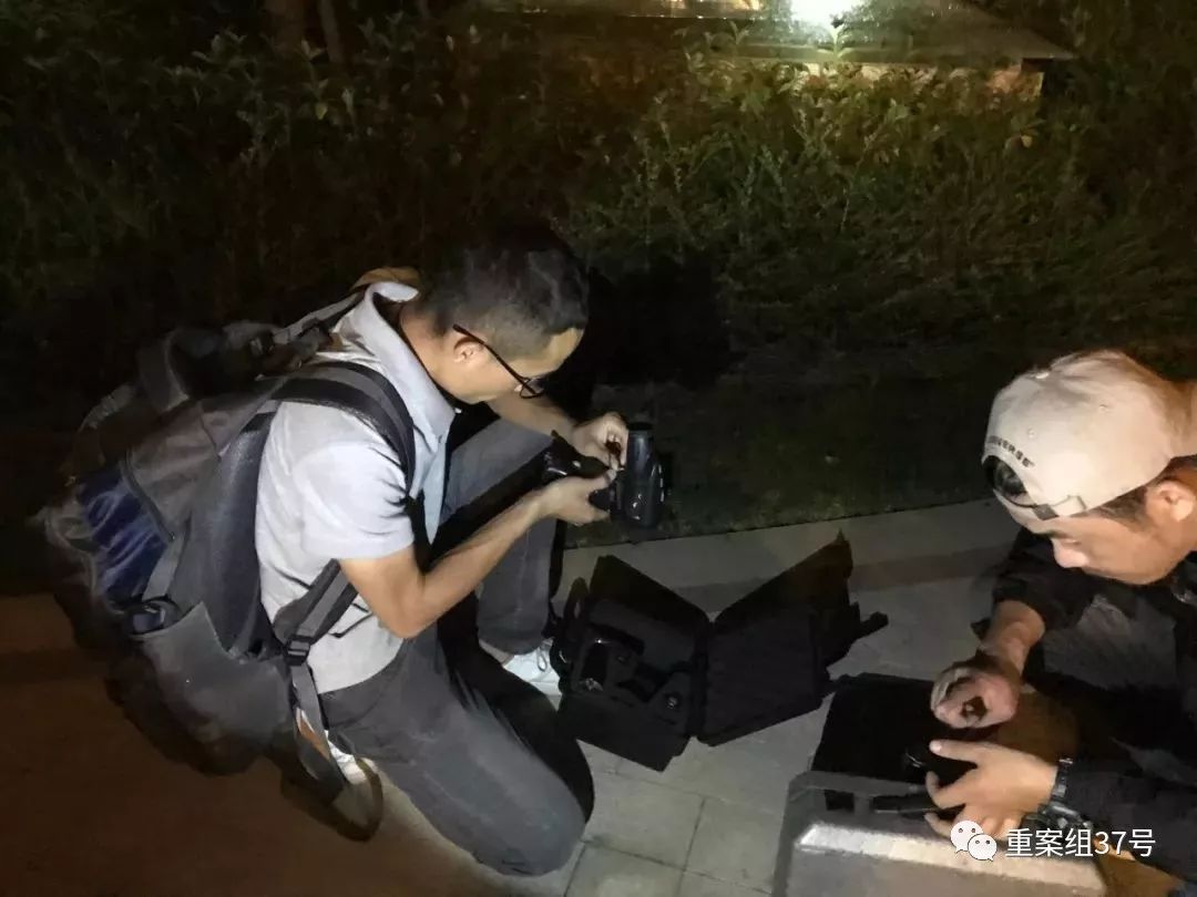 宠物“侦探”：摸透了猫狗习性，也看到了复杂人性