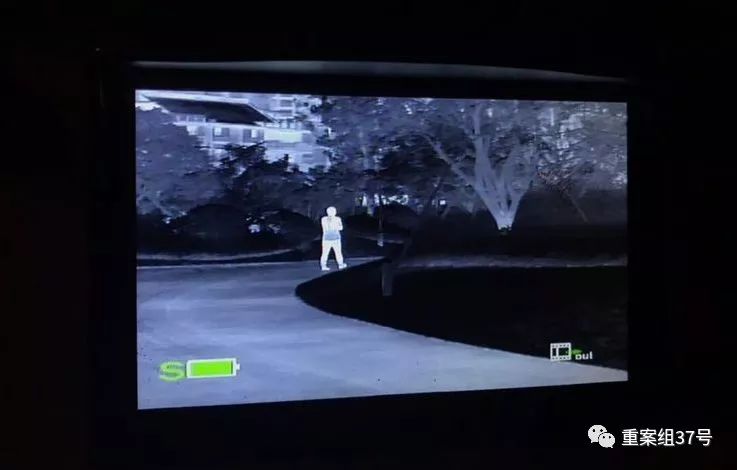 宠物“侦探”：摸透了猫狗习性，也看到了复杂人性