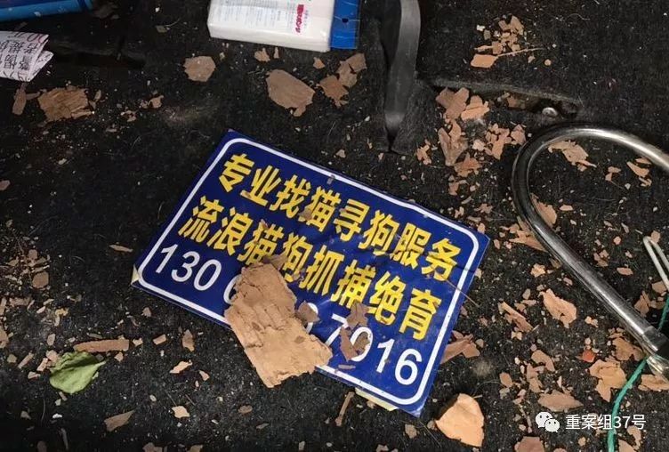 宠物“侦探”：摸透了猫狗习性，也看到了复杂人性