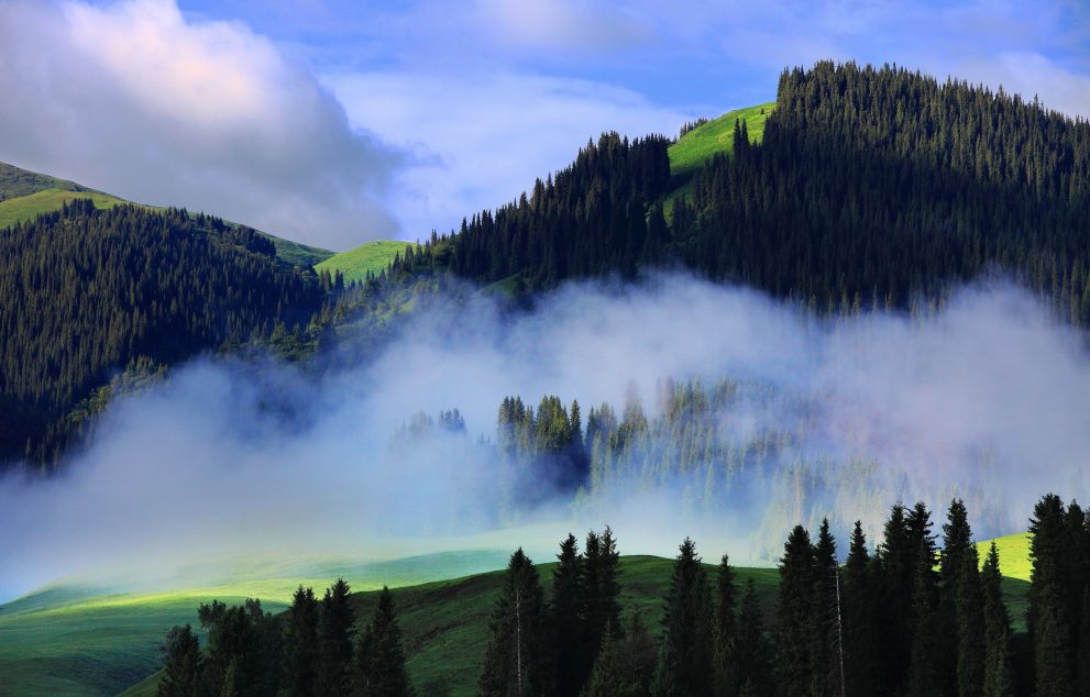 壮丽70年奋进新时代资料,壮丽70年奋斗新时代