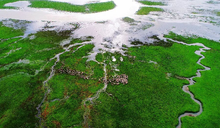 壮丽70年奋进新时代资料,壮丽70年奋斗新时代