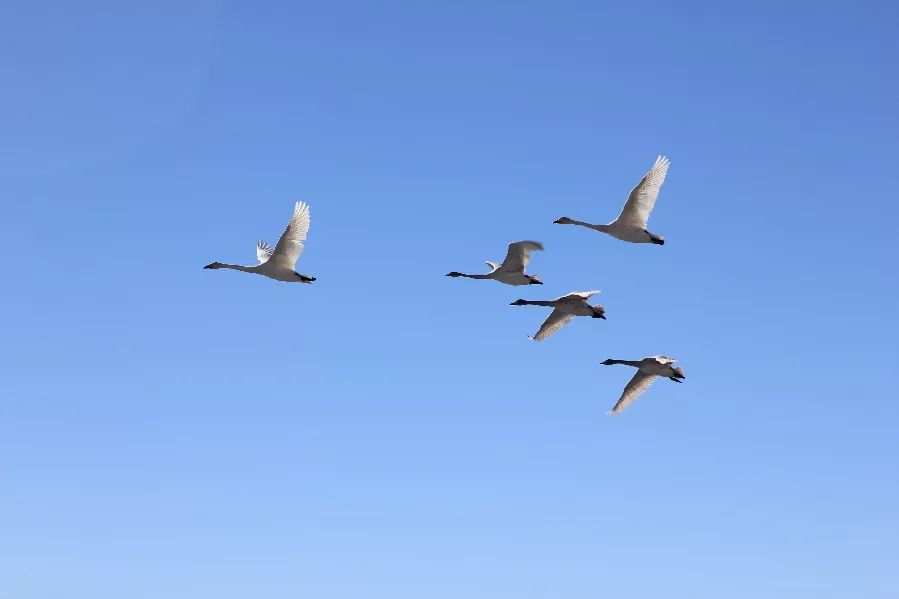 壮丽70年奋进新时代资料,壮丽70年奋斗新时代
