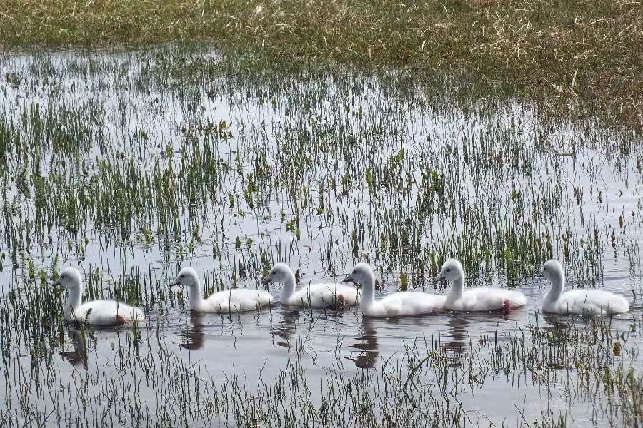 壮丽70年奋进新时代资料,壮丽70年奋斗新时代