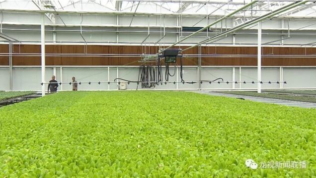 黑龙江省美丽乡村建设示范村名单,辽宁11个村镇入围全国示范